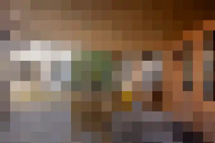 Willem de Zwijgerstraat 6 Panningen thumbnail 42