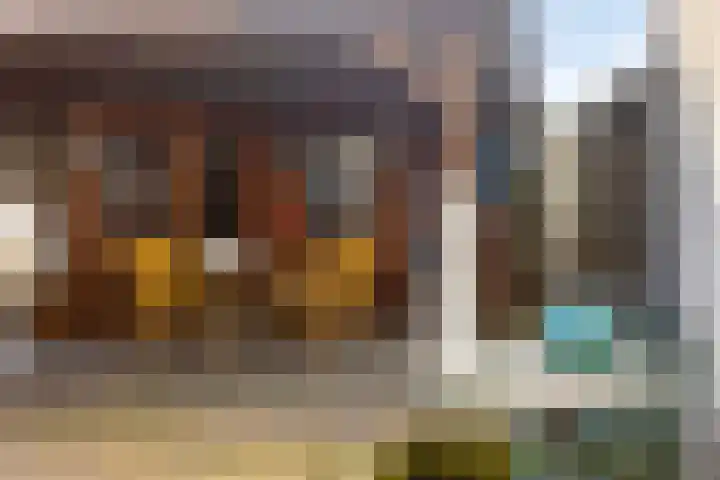 Willem de Zwijgerstraat 6 Panningen thumbnail 44
