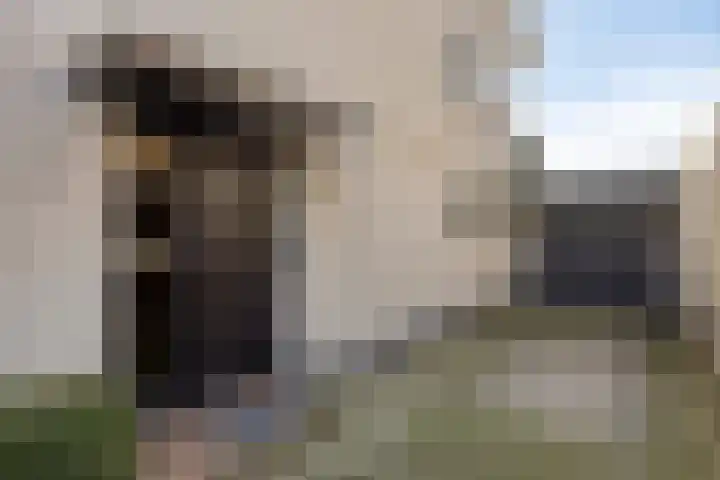 Willem de Zwijgerstraat 6 Panningen thumbnail 5