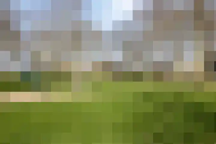 Willem de Zwijgerstraat 6 Panningen thumbnail 52