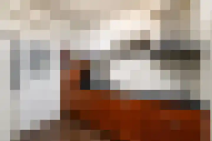 Willem de Zwijgerstraat 6 Wolvega thumbnail 10