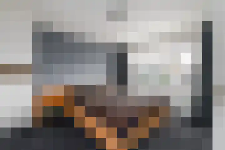 Willem de Zwijgerstraat 6 Wolvega thumbnail 15