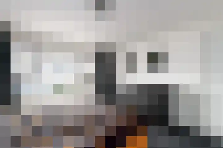 Willem de Zwijgerstraat 6 Wolvega thumbnail 16
