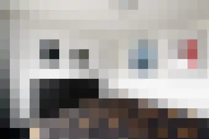 Willem de Zwijgerstraat 6 Wolvega thumbnail 17