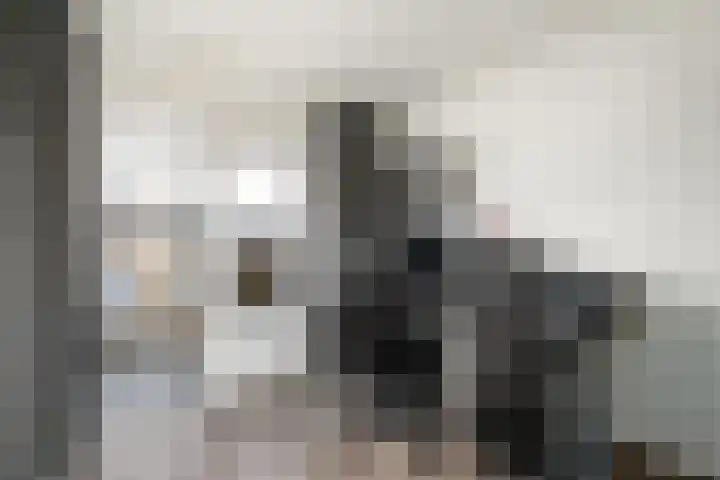 Willem de Zwijgerstraat 6 Wolvega thumbnail 18