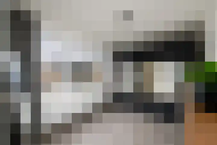 Willem de Zwijgerstraat 6 Wolvega thumbnail 20