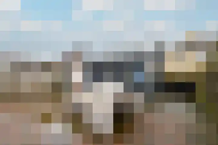 Willem de Zwijgerstraat 6 Wolvega thumbnail 28