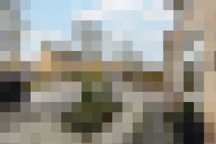 Willem de Zwijgerstraat 6 Wolvega thumbnail 31