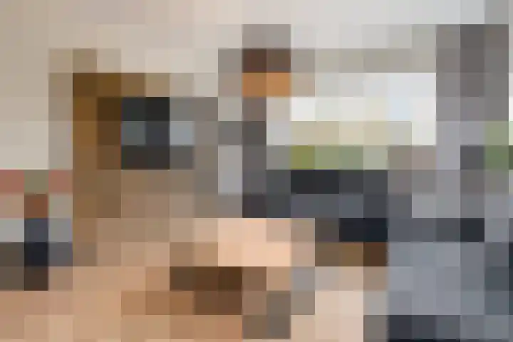 Willem de Zwijgerstraat 6 Wolvega thumbnail 4