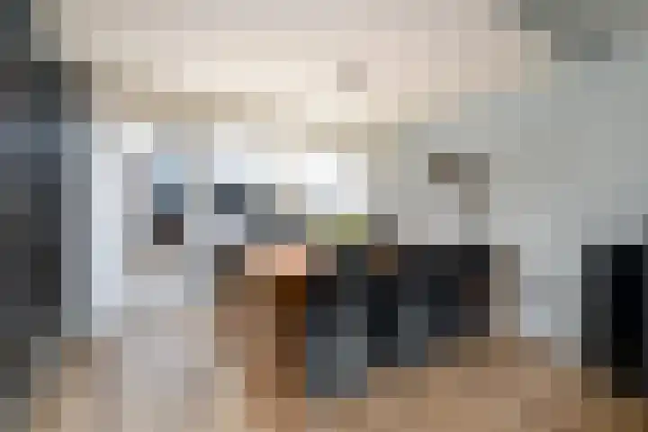 Willem de Zwijgerstraat 6 Wolvega thumbnail 6