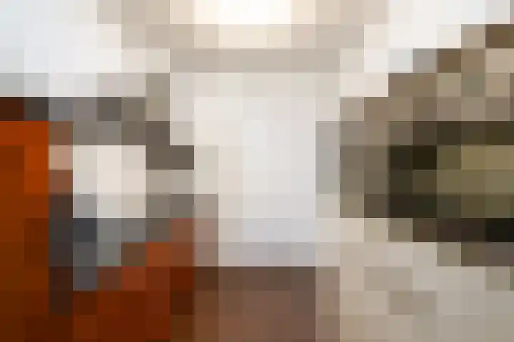 Willem de Zwijgerstraat 6 Wolvega thumbnail 9