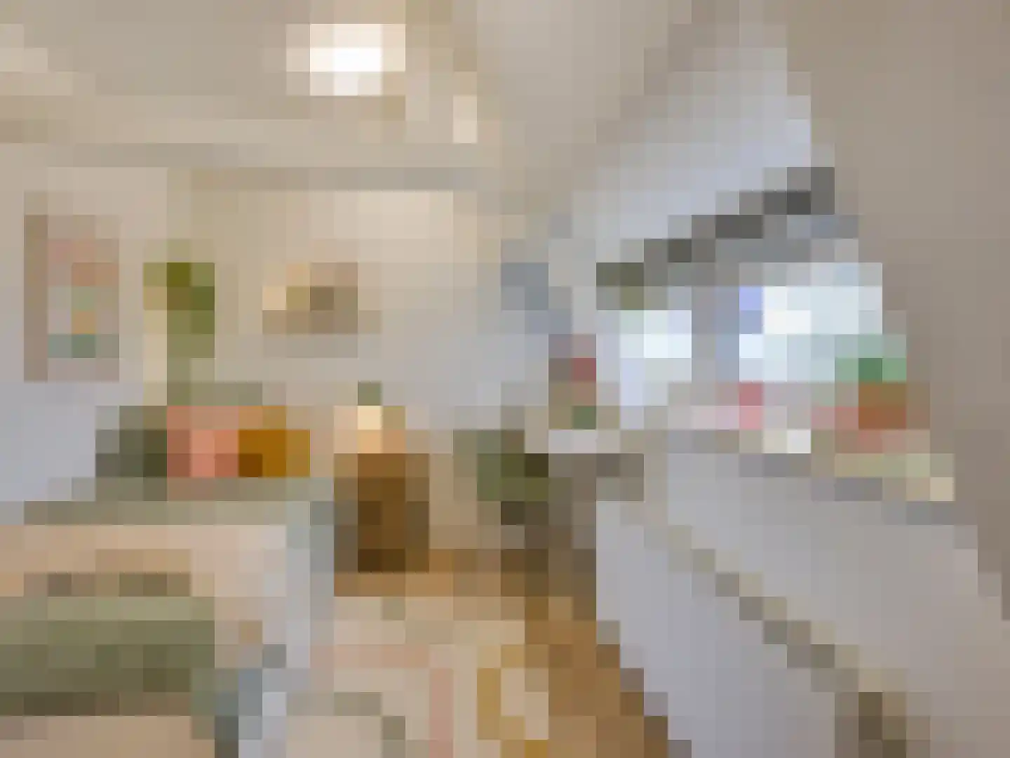 Willem de Zwijgerstraat 63 A Rotterdam thumbnail 9