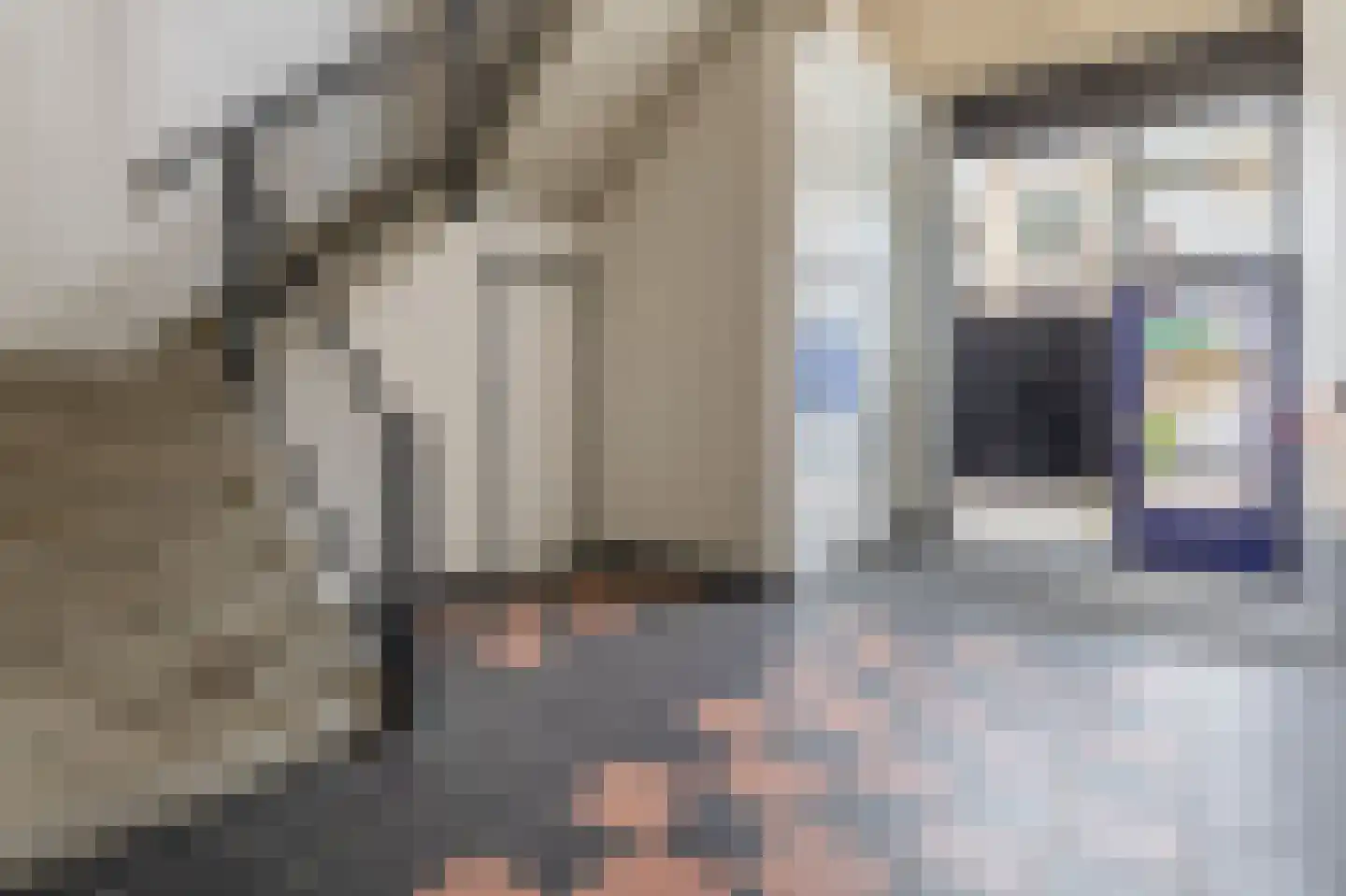 Willem de Zwijgerstraat 64 Hendrik-Ido-Ambacht thumbnail 30