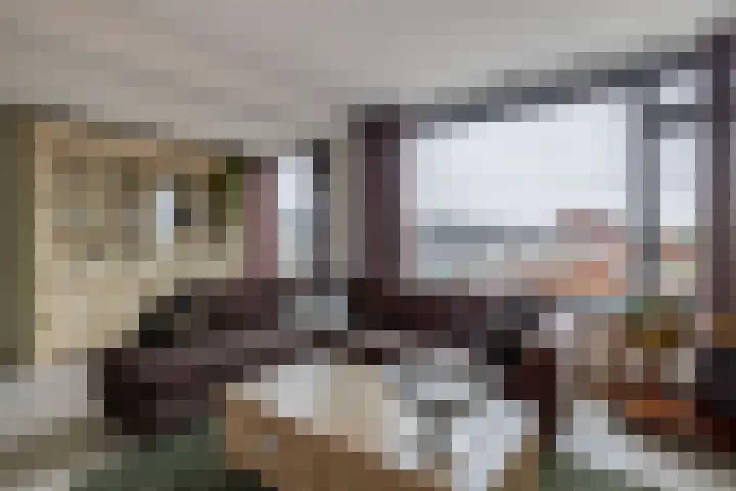 Willem de Zwijgerstraat 64 Hendrik-Ido-Ambacht thumbnail 7