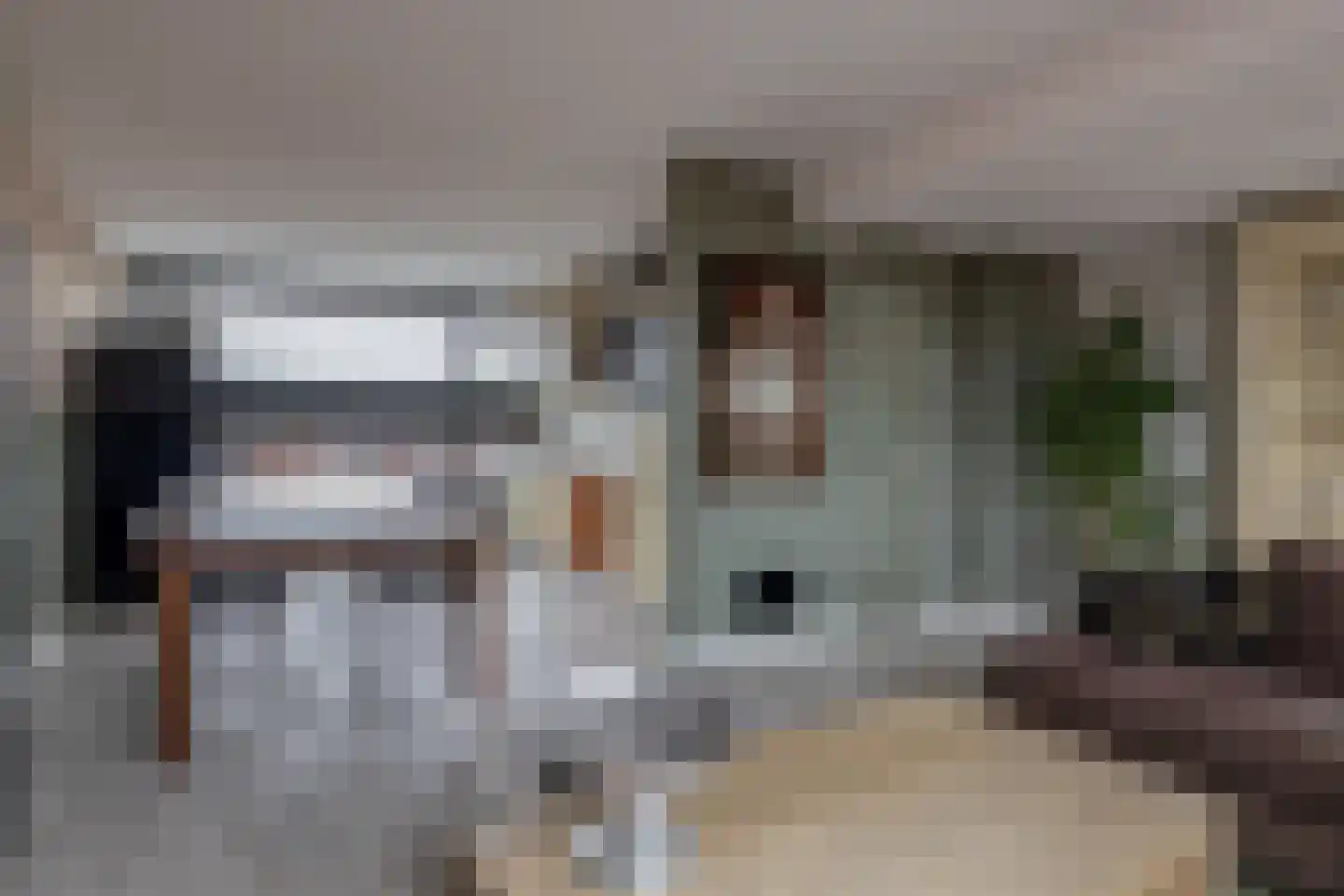 Willem de Zwijgerstraat 64 Hendrik-Ido-Ambacht thumbnail 8