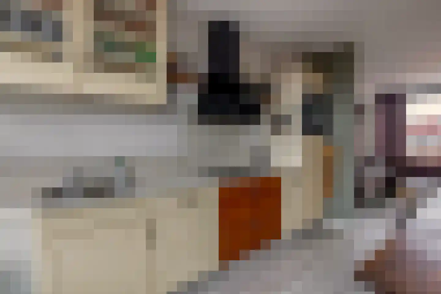 Willem de Zwijgerstraat 64 Hendrik-Ido-Ambacht thumbnail 9
