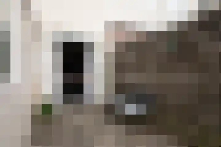 Willem de Zwijgerstraat 66 Sneek thumbnail 23