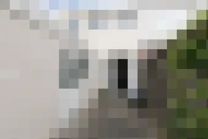Willem de Zwijgerstraat 66 Sneek thumbnail 24