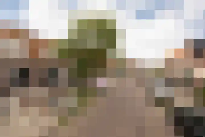 Willem de Zwijgerstraat 66 Sneek thumbnail 32