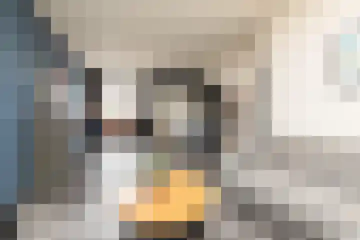 Willem de Zwijgerstraat 66 Sneek thumbnail 4
