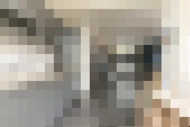 Willem de Zwijgerstraat 66 Sneek thumbnail 8