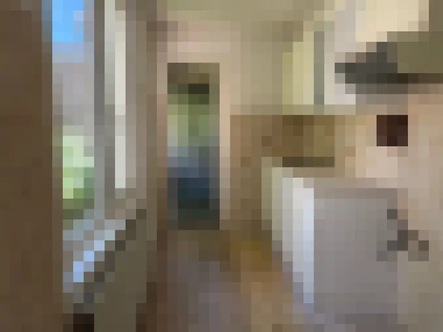 Willem de Zwijgerstraat 7 Kampen thumbnail 10