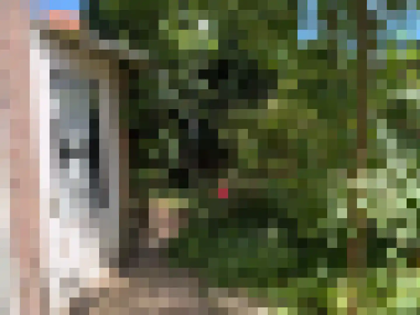 Willem de Zwijgerstraat 7 Kampen thumbnail 19