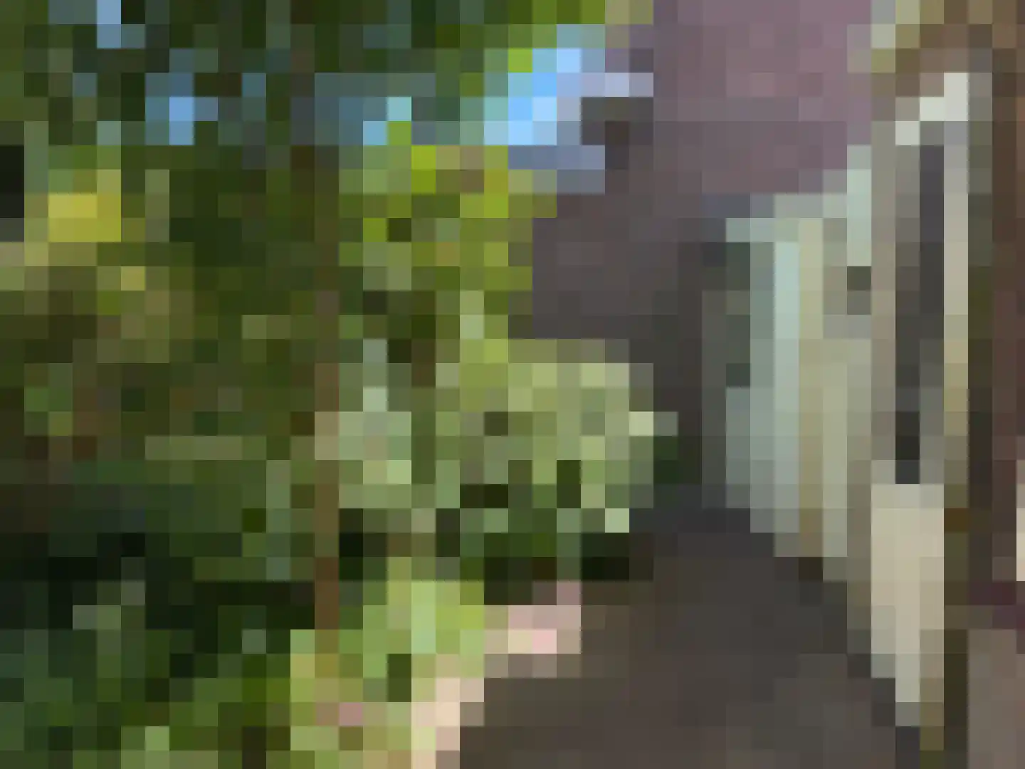 Willem de Zwijgerstraat 7 Kampen thumbnail 20