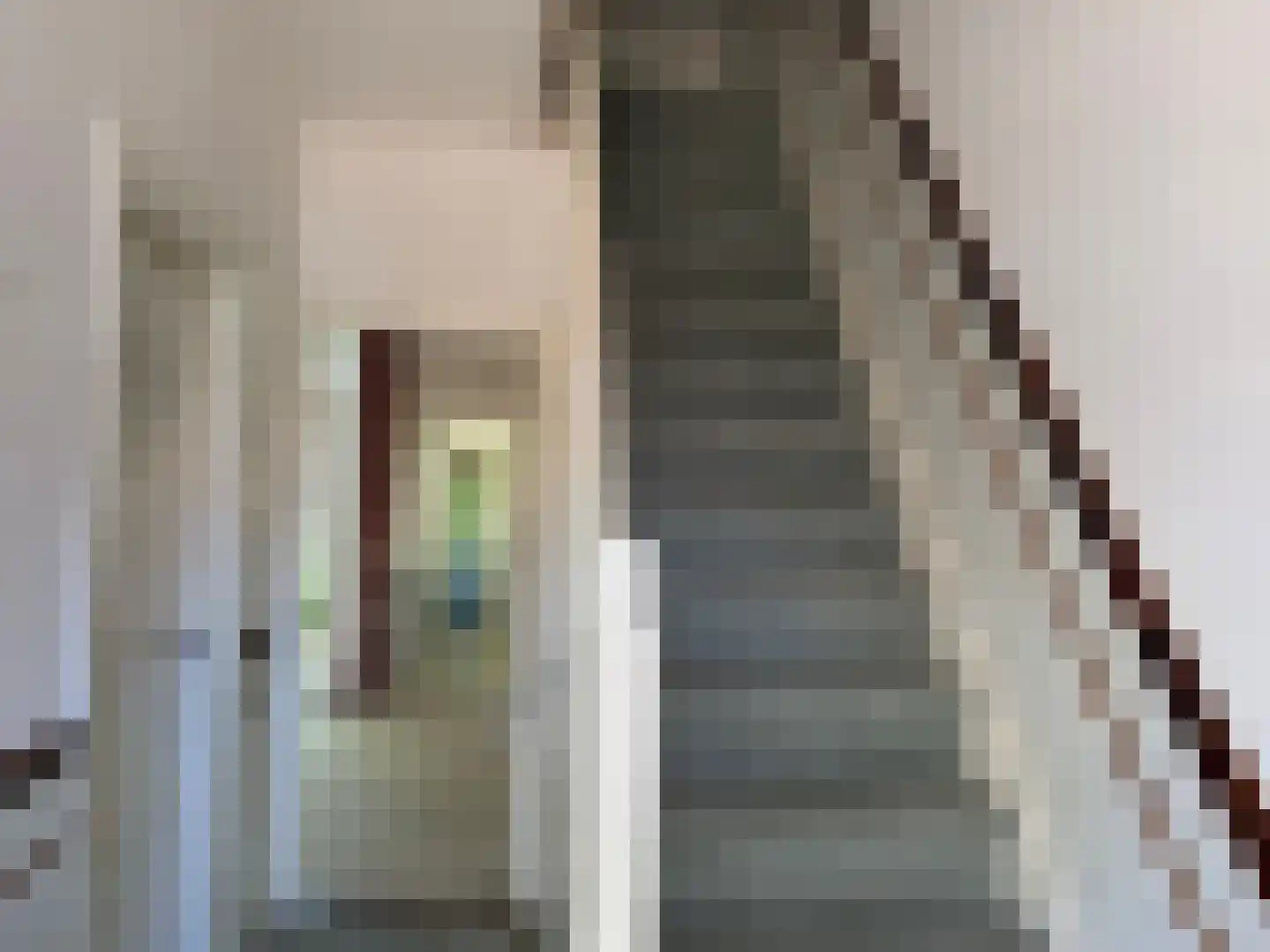 Willem de Zwijgerstraat 7 Kampen thumbnail 4