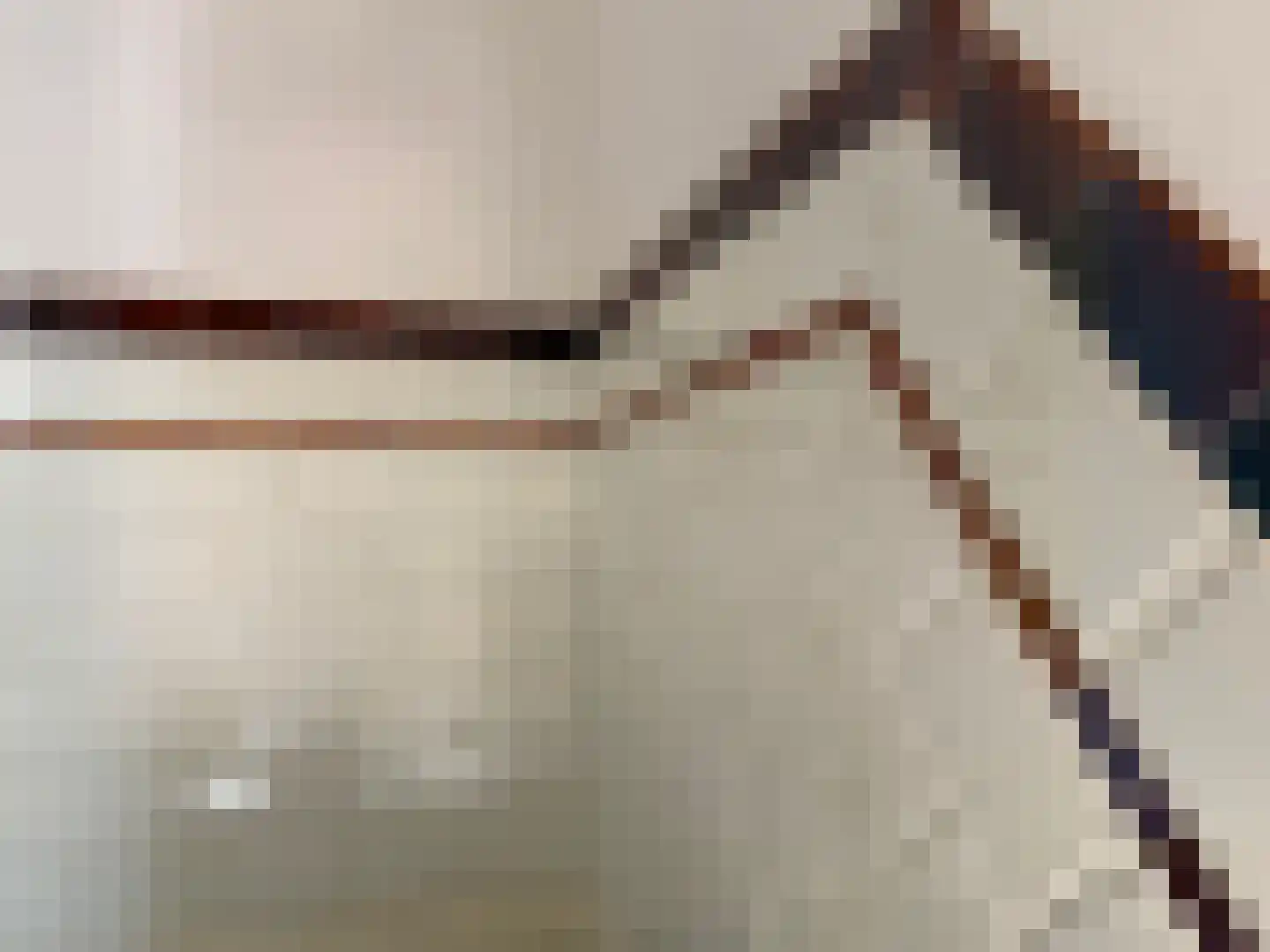 Willem de Zwijgerstraat 7 Kampen thumbnail 5