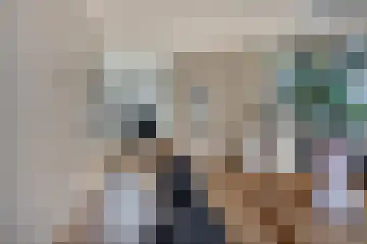 Willem de Zwijgerstraat 7 Panningen thumbnail 10