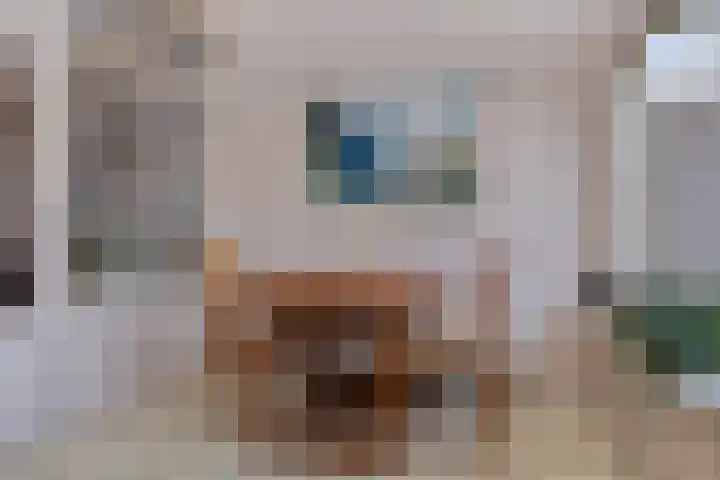 Willem de Zwijgerstraat 7 Panningen thumbnail 11