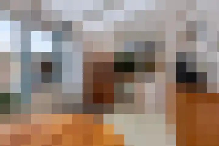 Willem de Zwijgerstraat 7 Panningen thumbnail 12