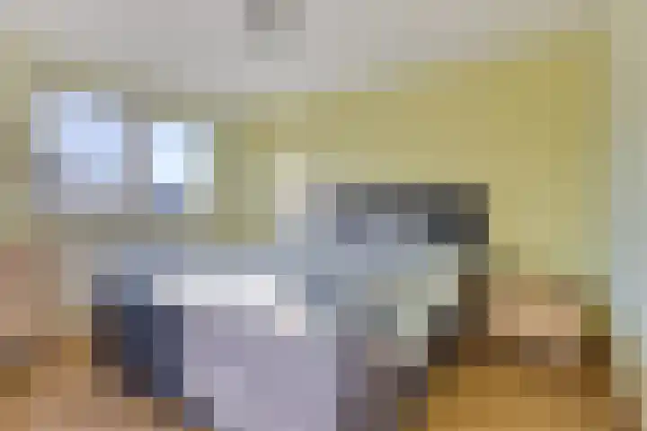 Willem de Zwijgerstraat 7 Panningen thumbnail 15