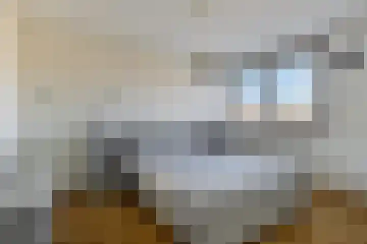 Willem de Zwijgerstraat 7 Panningen thumbnail 17