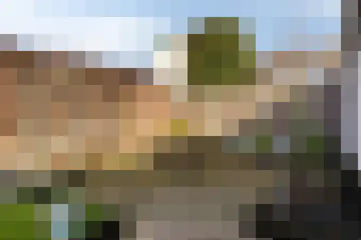 Willem de Zwijgerstraat 7 Panningen thumbnail 26