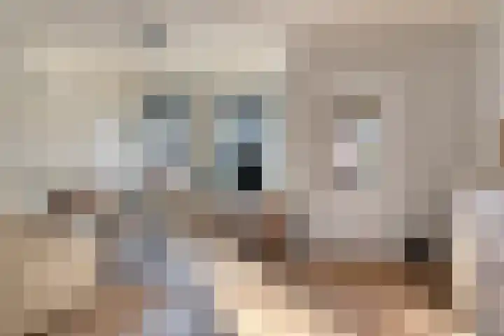 Willem de Zwijgerstraat 7 Panningen thumbnail 4