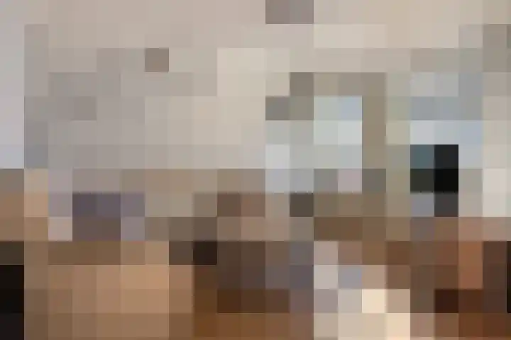 Willem de Zwijgerstraat 7 Panningen thumbnail 5