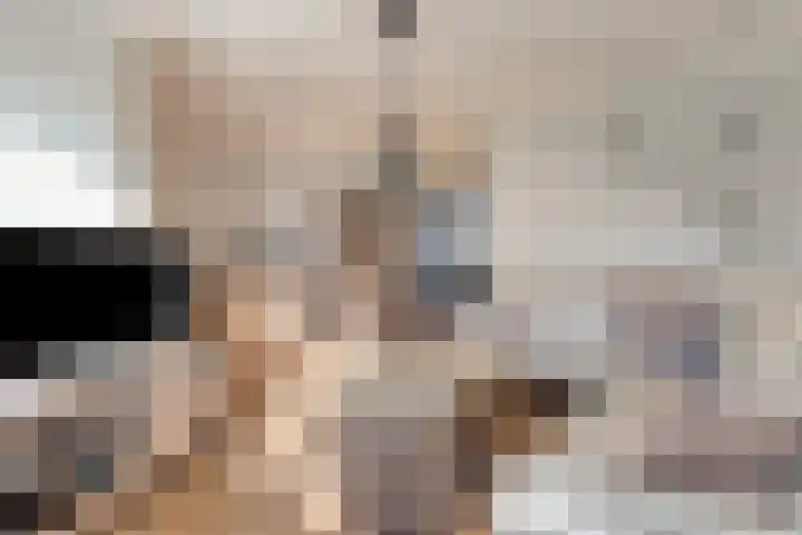 Willem de Zwijgerstraat 7 Panningen thumbnail 6
