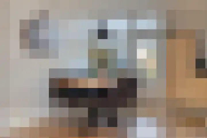 Willem de Zwijgerstraat 7 Panningen thumbnail 8