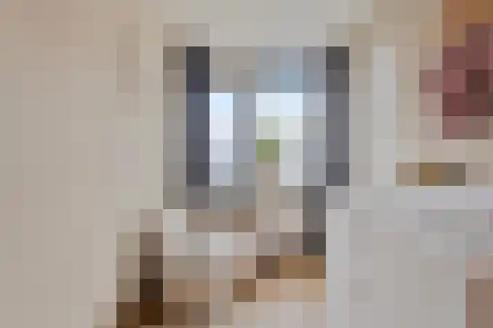 Willem de Zwijgerstraat 71 Sneek thumbnail 18