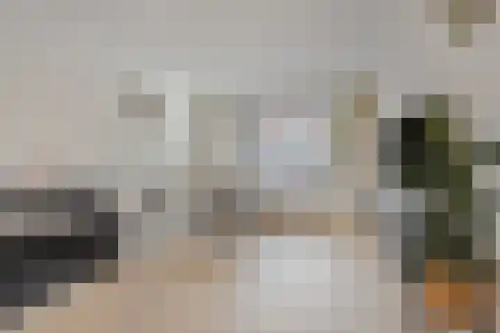 Willem de Zwijgerstraat 71 Sneek thumbnail 9