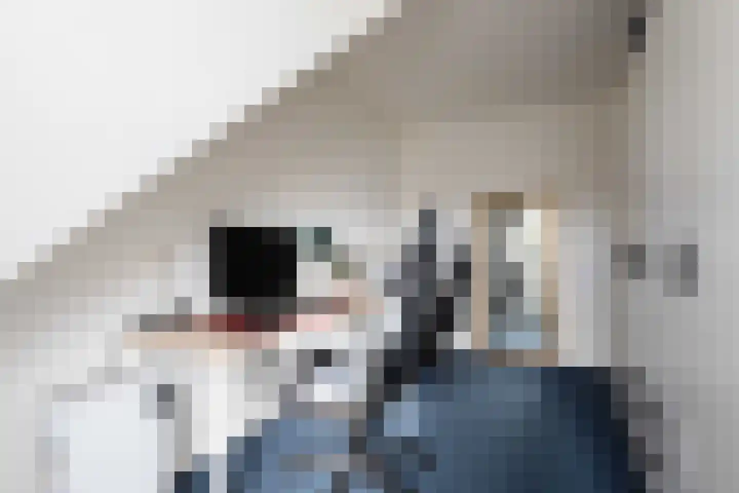Willem de Zwijgerstraat 73 Sneek thumbnail 17