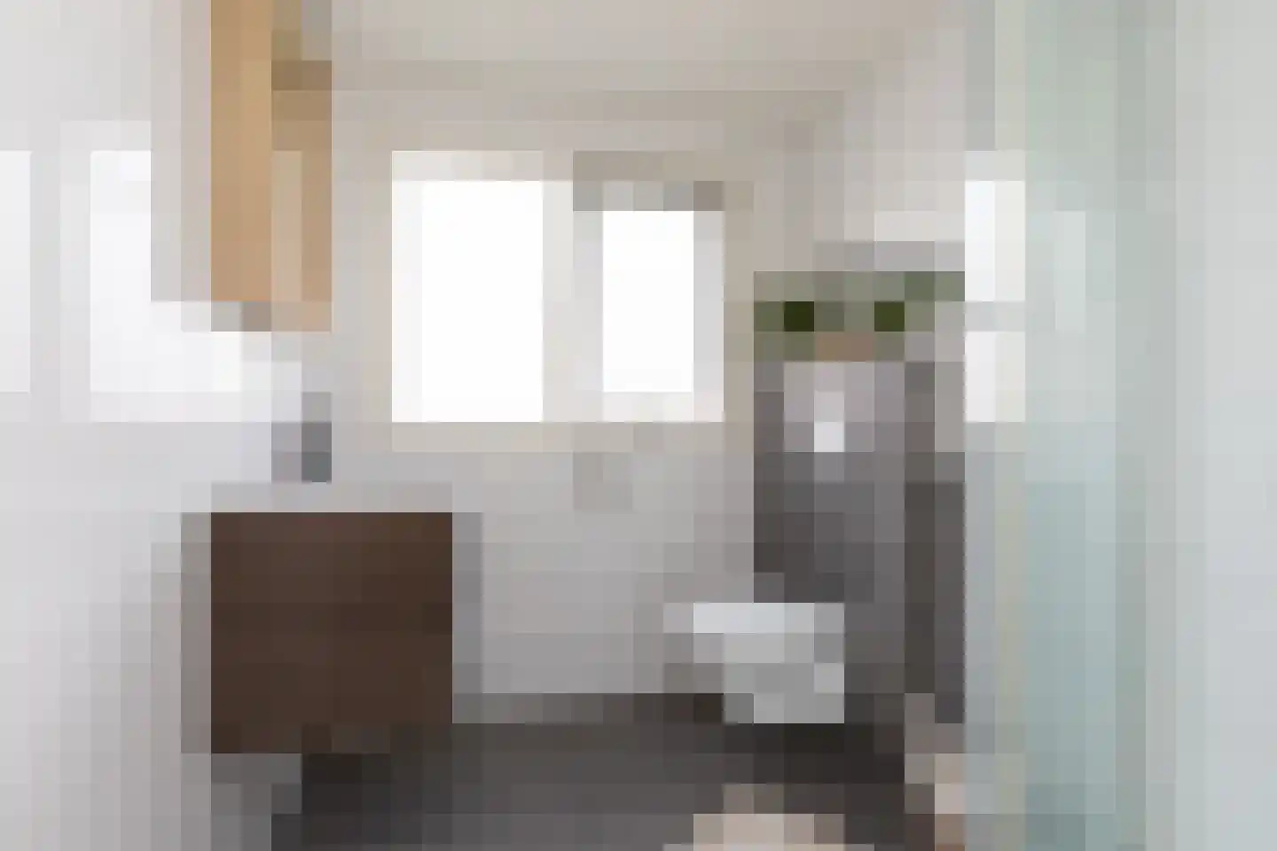 Willem de Zwijgerstraat 73 Sneek thumbnail 20