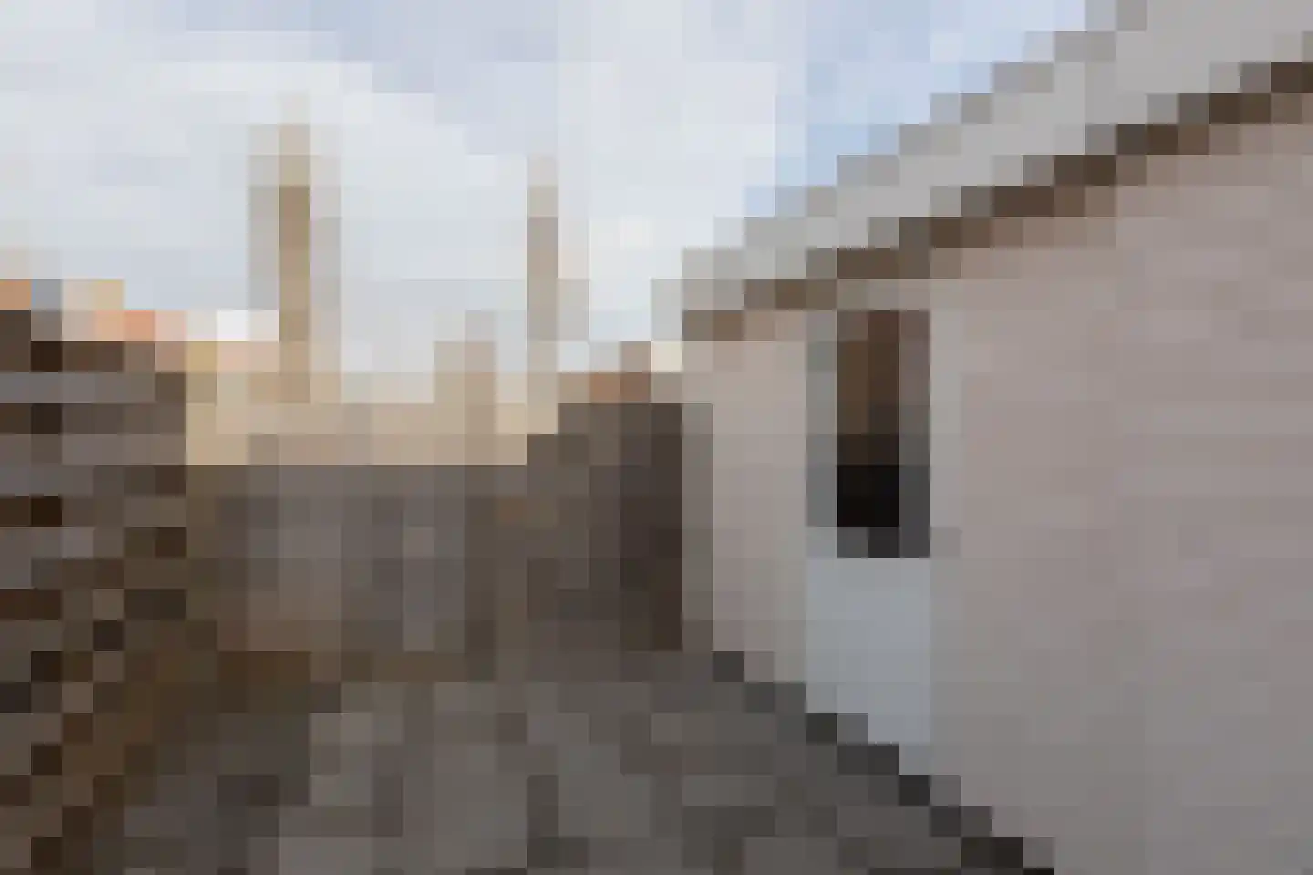 Willem de Zwijgerstraat 73 Sneek thumbnail 27