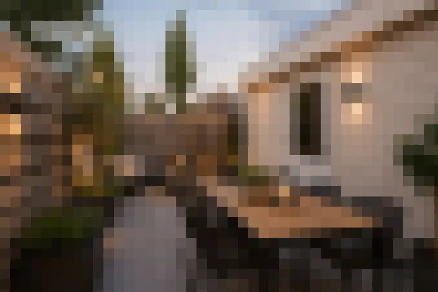 Willem de Zwijgerstraat 73 Sneek thumbnail 27
