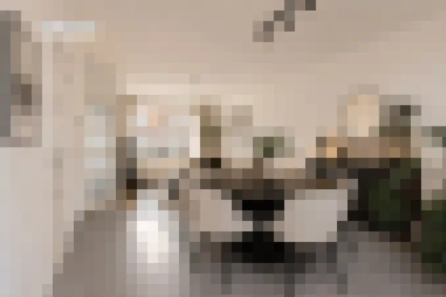 Willem de Zwijgerstraat 73 Sneek thumbnail 7