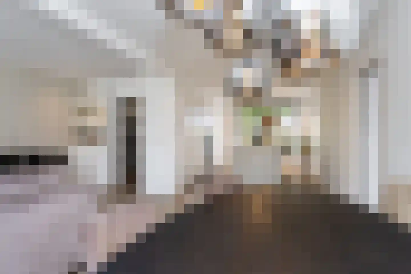 Willem de Zwijgerstraat 79 Weert thumbnail 5