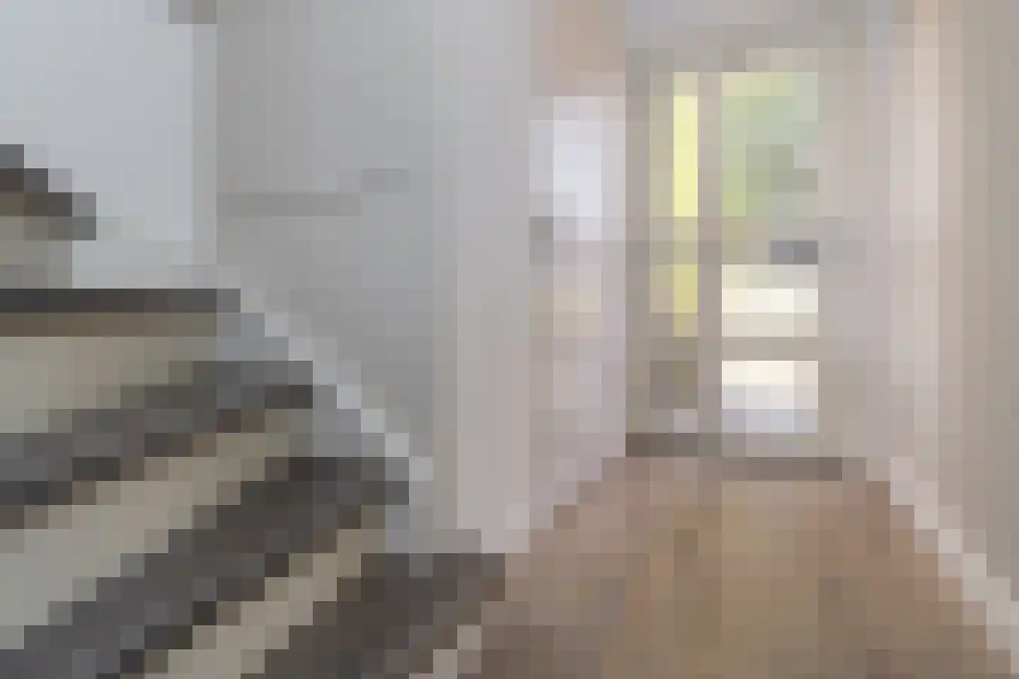 Willem de Zwijgerstraat 79 Weert thumbnail 6