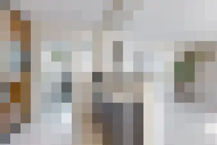Willem de Zwijgerstraat 8 Fijnaart thumbnail 10